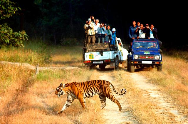 1467694820_0corbett 1.jpg
